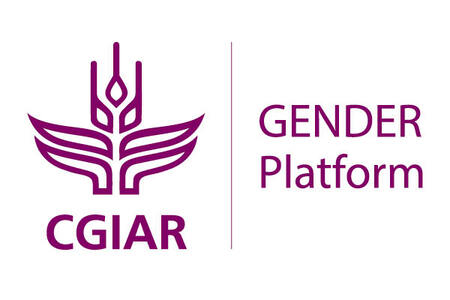Scaling up of the CGIAR GENDER impact platform