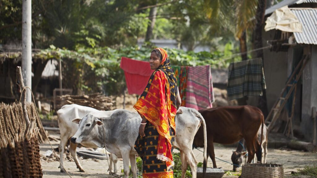 A woman with livestock in Khulna Bangladesh - Worldfish - Photo by: Felix Clay