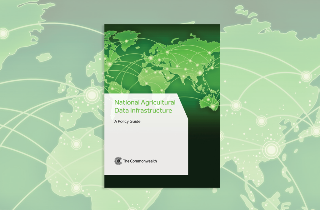 NAgDI Policy Guide - Cover Image