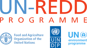 UN-REDD